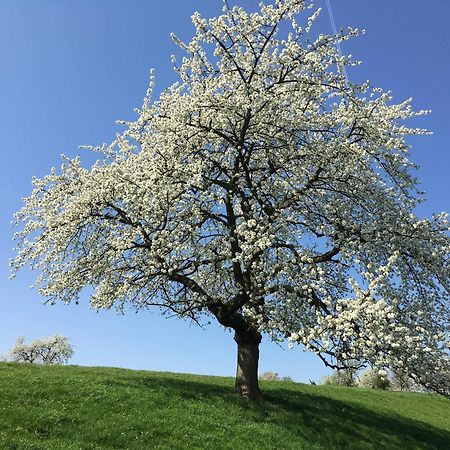 De Notelaar Kortessem Exteriér fotografie