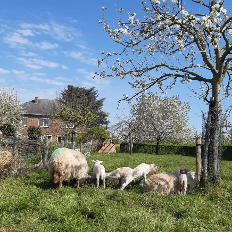 De Notelaar Kortessem Exteriér fotografie