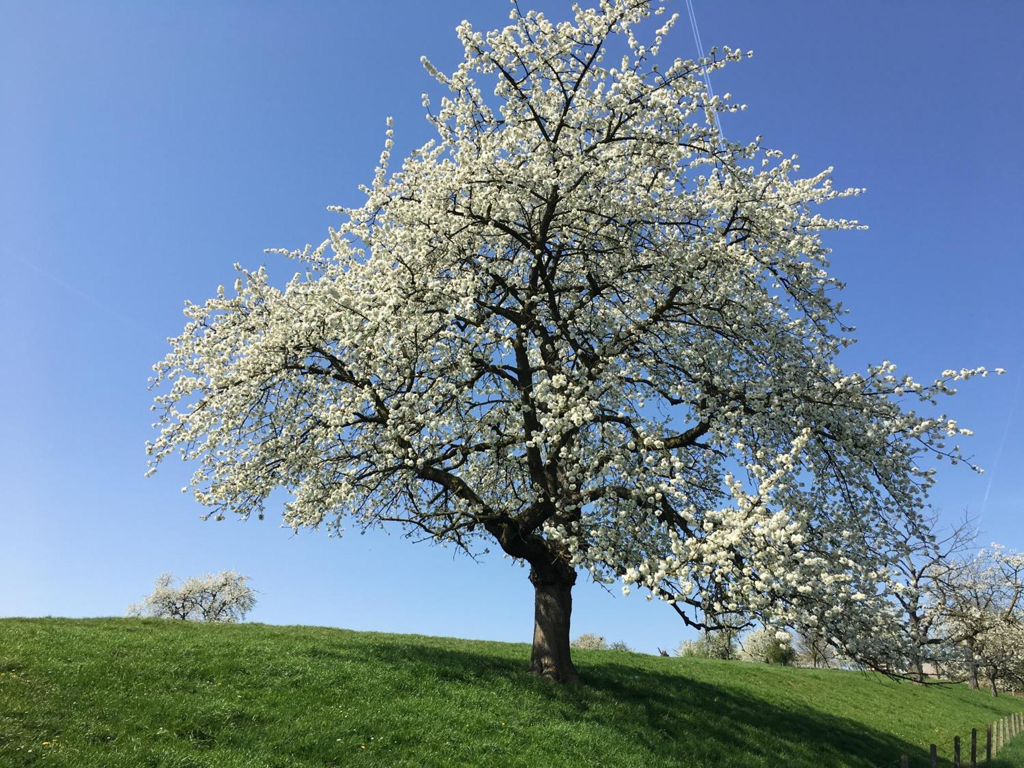 De Notelaar Kortessem Exteriér fotografie