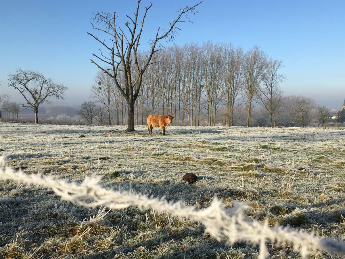 De Notelaar Kortessem Exteriér fotografie
